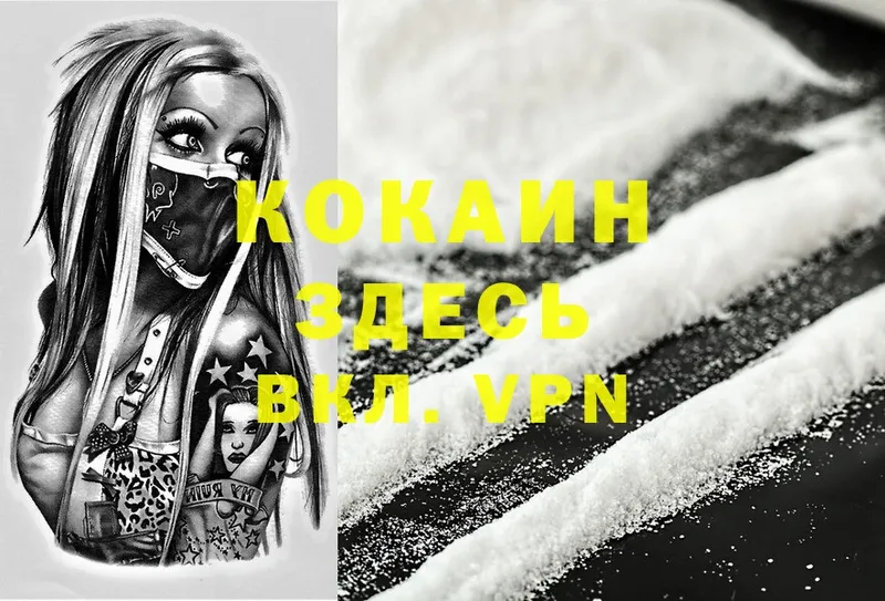 Cocaine Эквадор  где купить   Верхняя Салда 