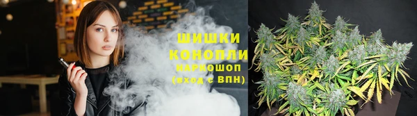 шишки Осинники