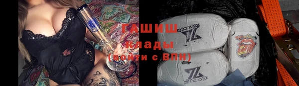 шишки Осинники