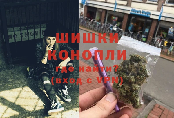 шишки Осинники