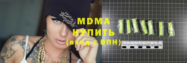 индика Нягань