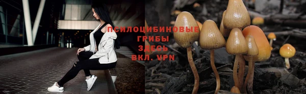 шишки Осинники