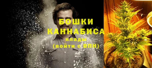 сатива Нязепетровск
