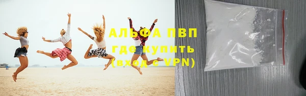 шишки Осинники