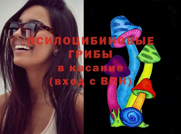 шишки Осинники