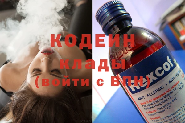 индика Нягань