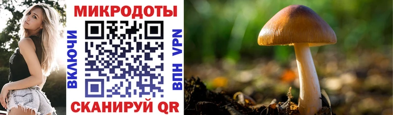 купить  цена  Верхняя Салда  Галлюциногенные грибы ЛСД 