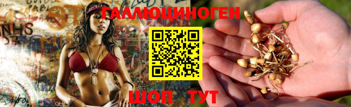 Верхняя Салда  Псилоцибиновые грибы Psilocybe  продажа наркотиков  Вход с VPN  Галлюциногенные грибы Psilocybe 